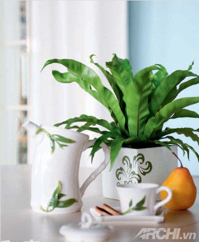 Những góc xanh cho nhà nhỏ - Archi