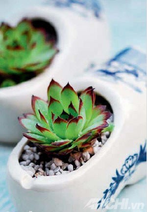 Những góc xanh cho nhà nhỏ - Archi