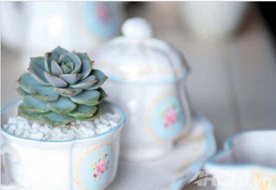 Những góc xanh cho nhà nhỏ - Archi