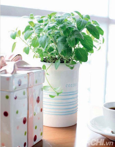 Những góc xanh cho nhà nhỏ - Archi